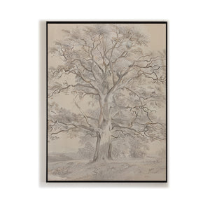 Realistic-Tree-Drawing-#RT453-01
