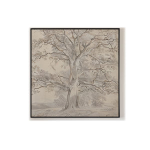 Realistic-Tree-Drawing-#RT453-08