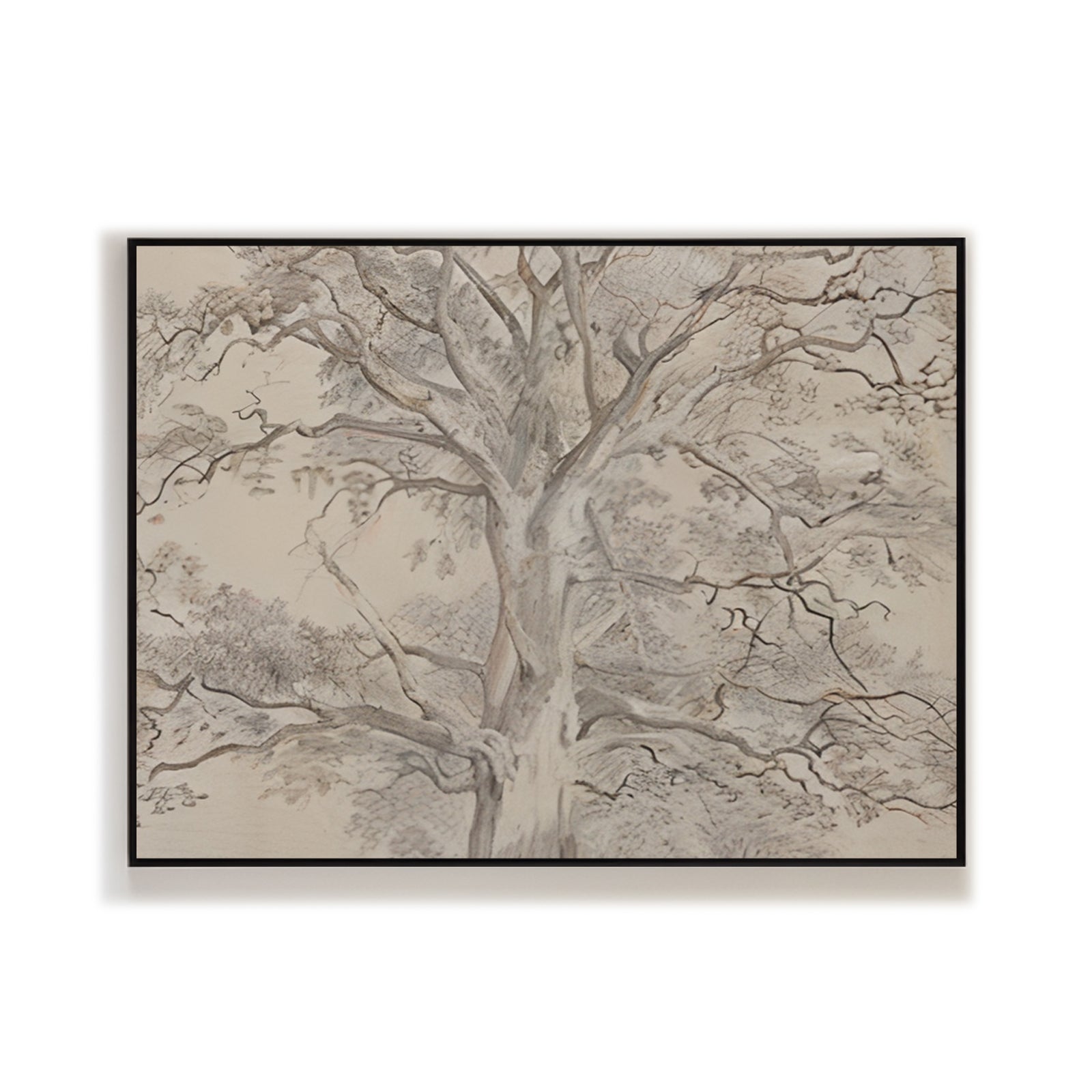 Realistic-Tree-Drawing-#RT453-09